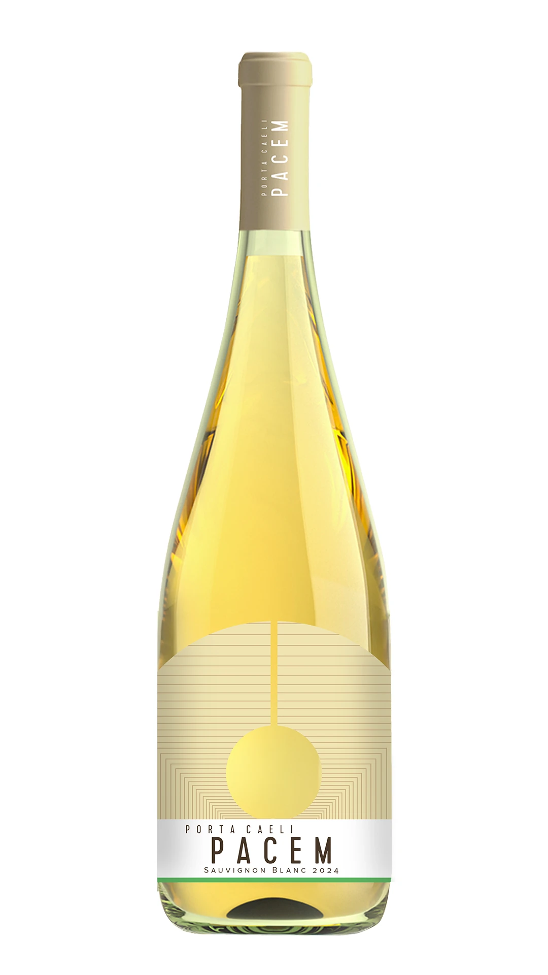 Porta Caeli | Pacem | Sauvignon Blanc | Weißwein | 75 cl 1