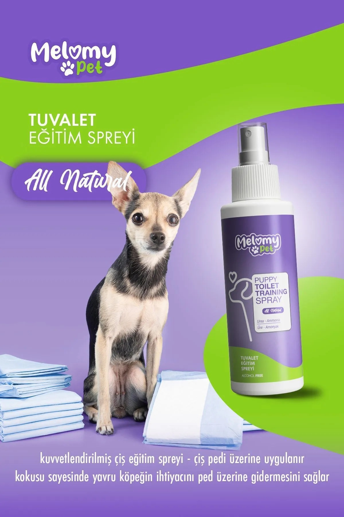 Hundetoiletten Trainingsspray - 100 ml