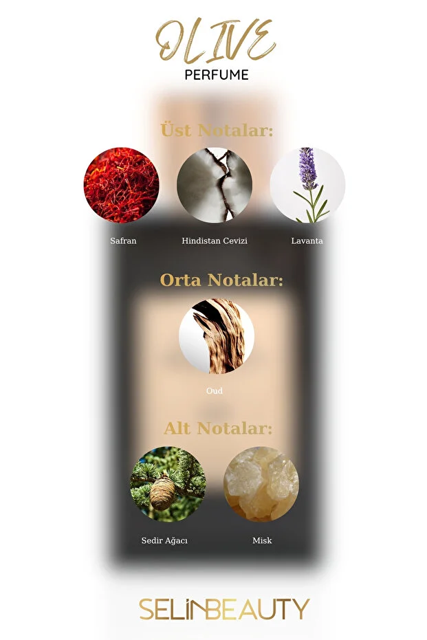 OLIVE PARFÜM 50ML