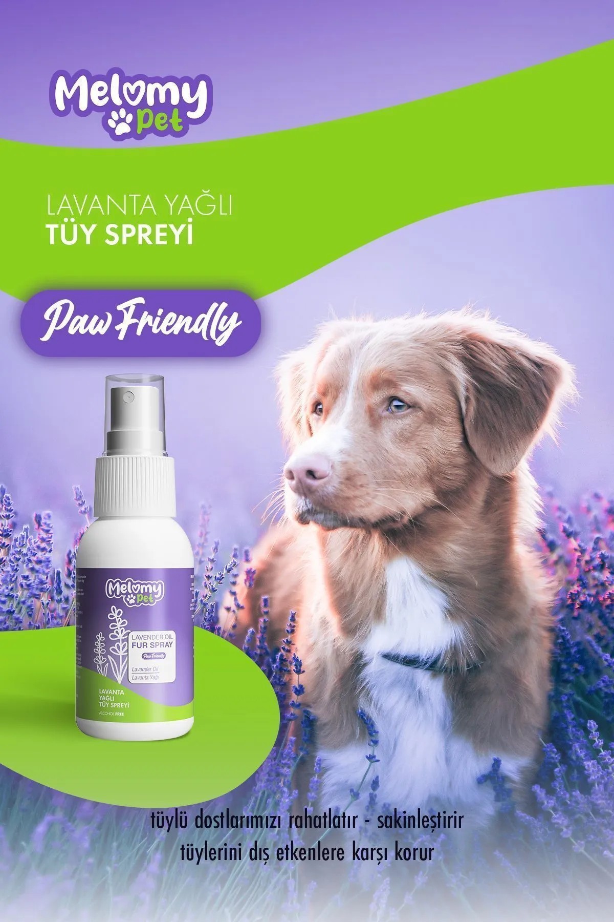 Lavendelöl-Haarspray für Katze und Hund