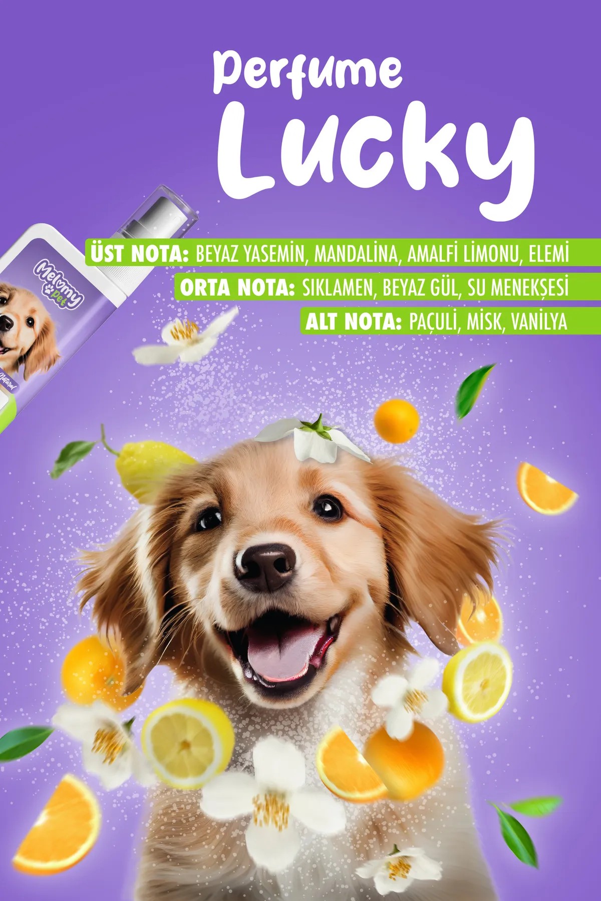 Katze & Hund Parfüm Lucky - 50 ml