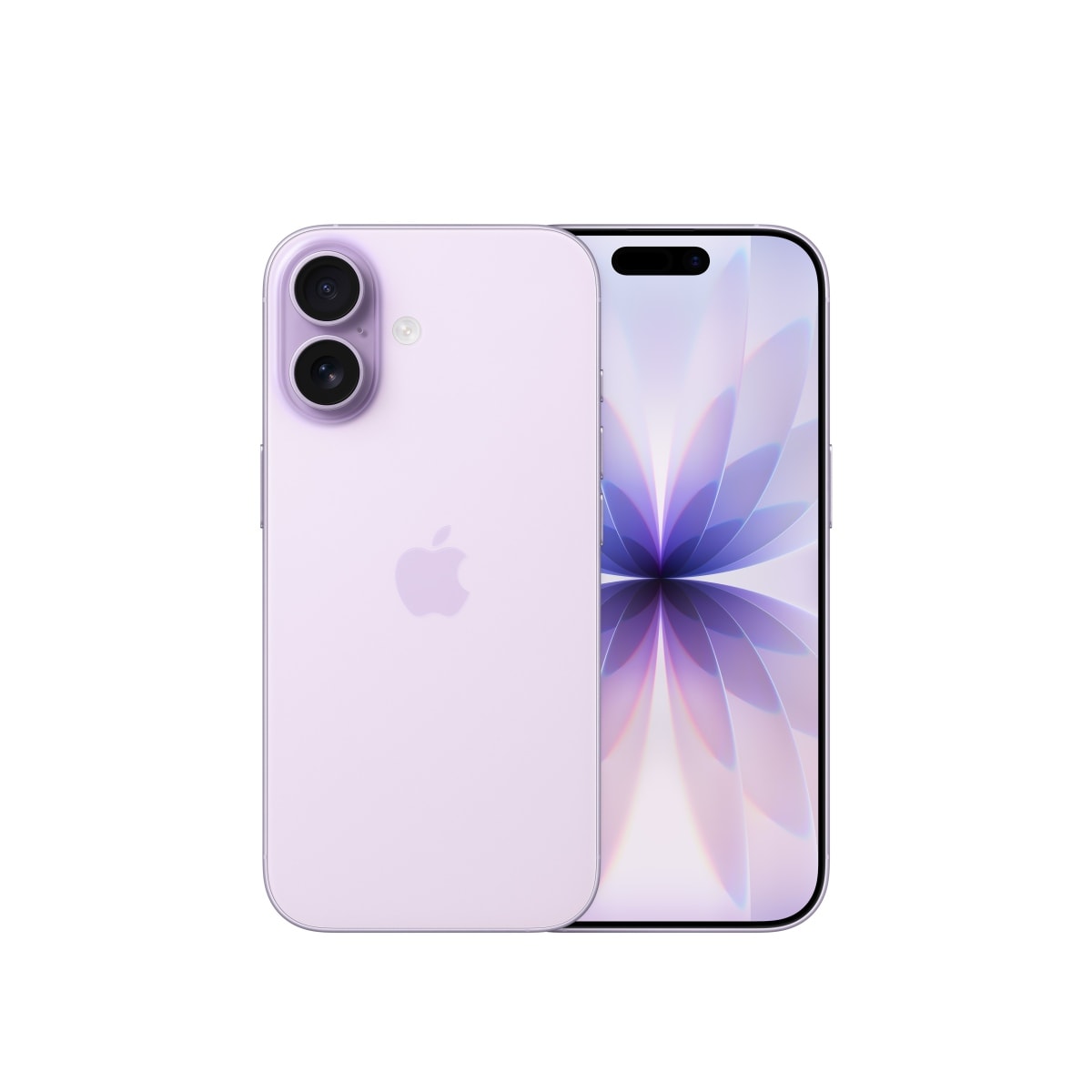 Lavendel