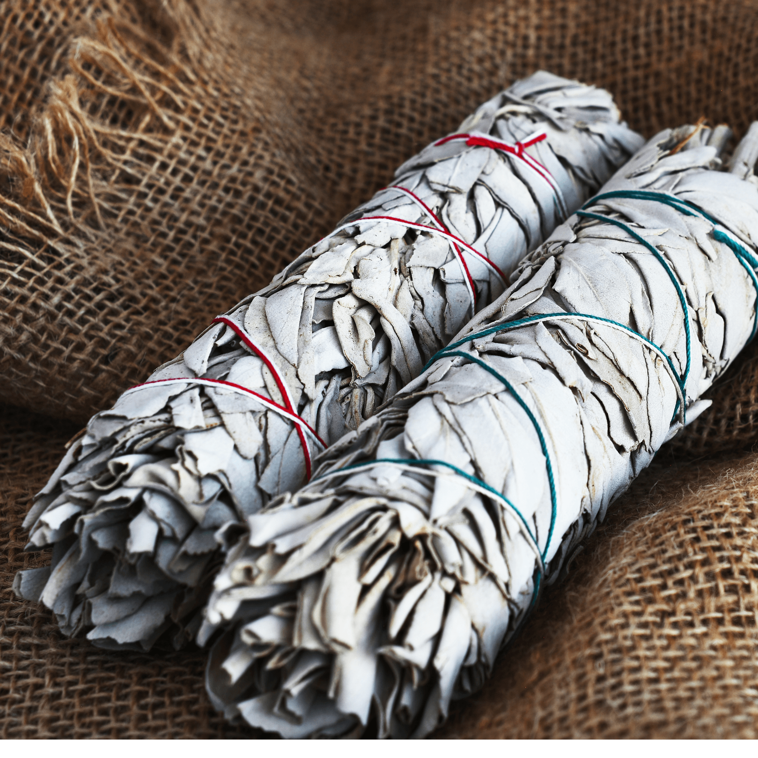 White Sage Incense Bundle 