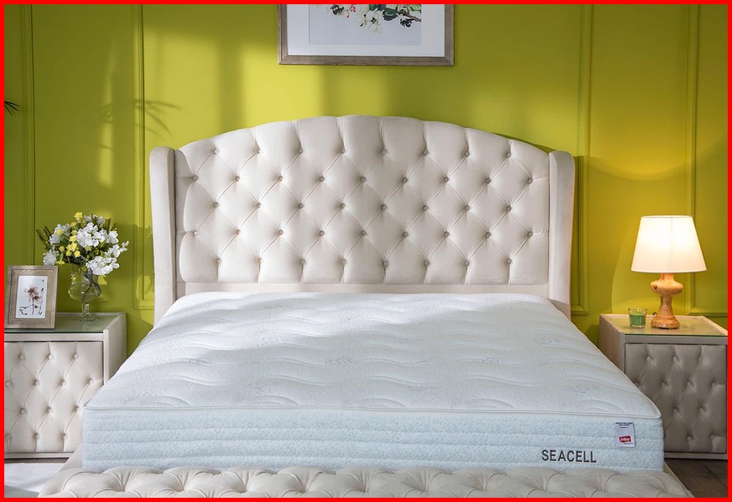ISBIR SEACELL ANTI-STRESS & WELLNESS