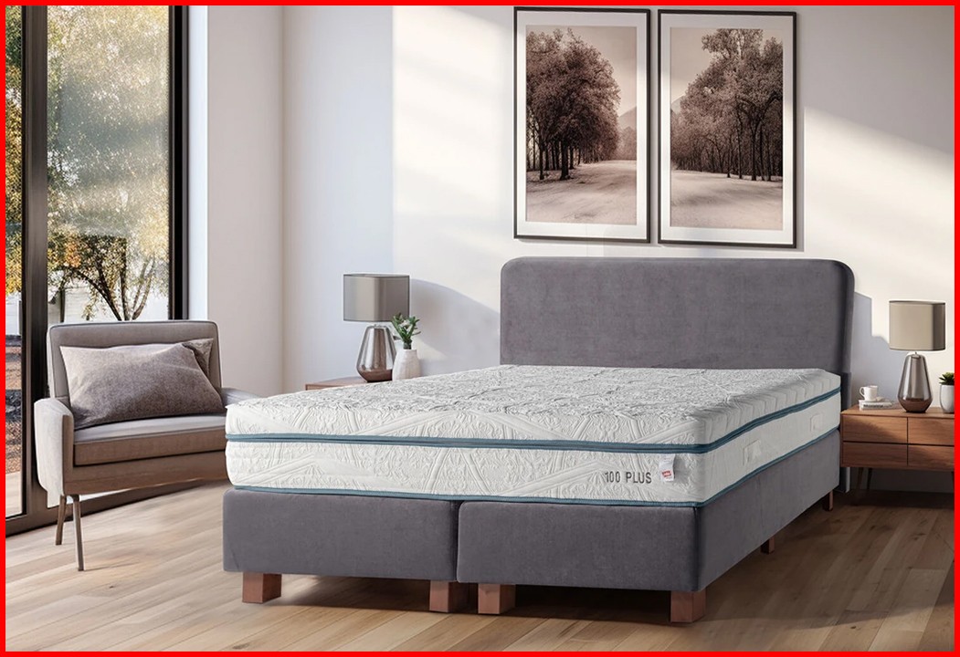 ISBIR 100 PLUS
