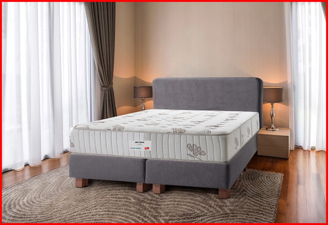 ISBIR NEO TROIA
