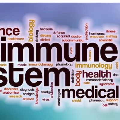 Analyse Blut-Immunsystem
