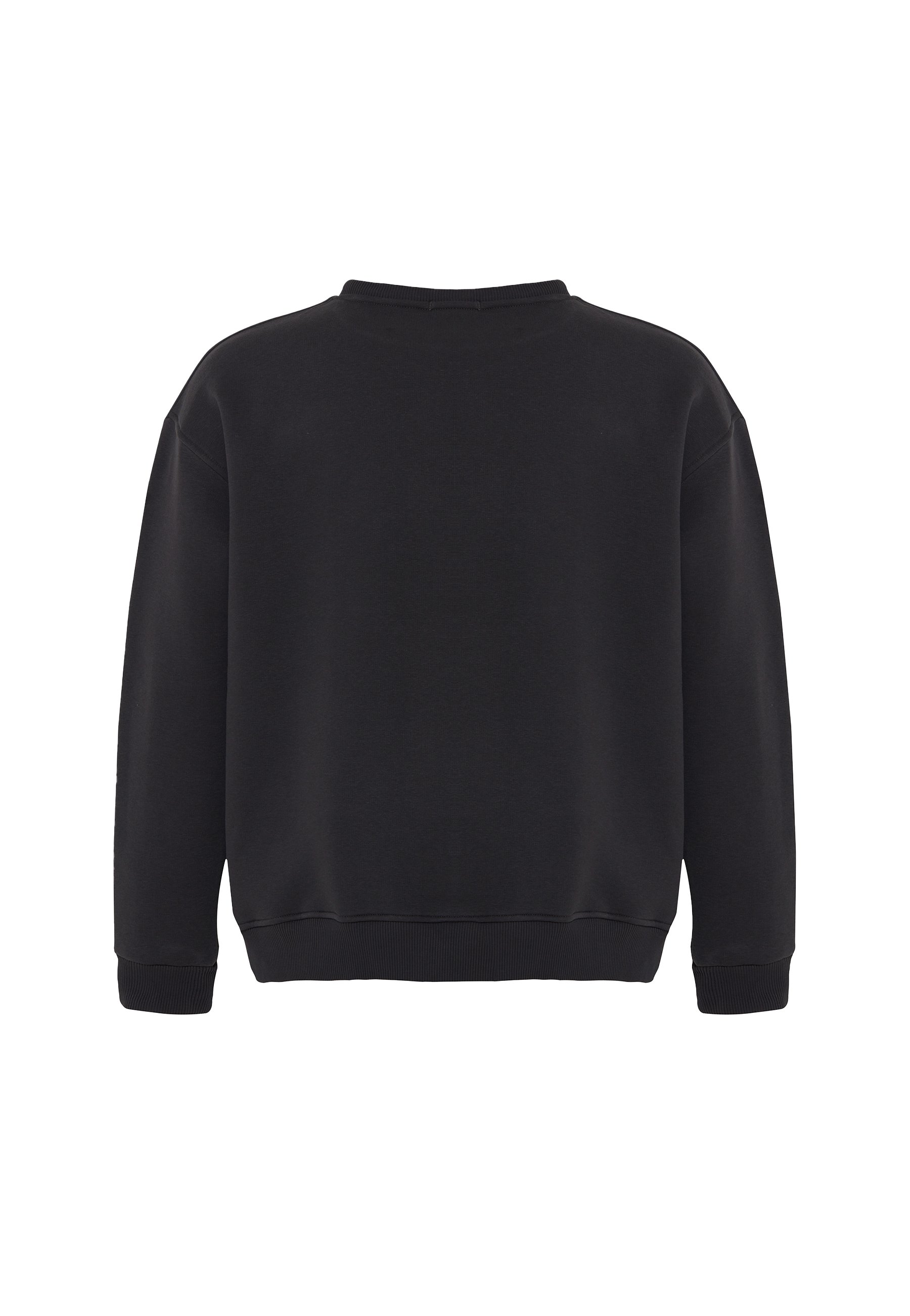 THE BUZZ OVERSIZED HEAVY SWEATSHIRT MEN