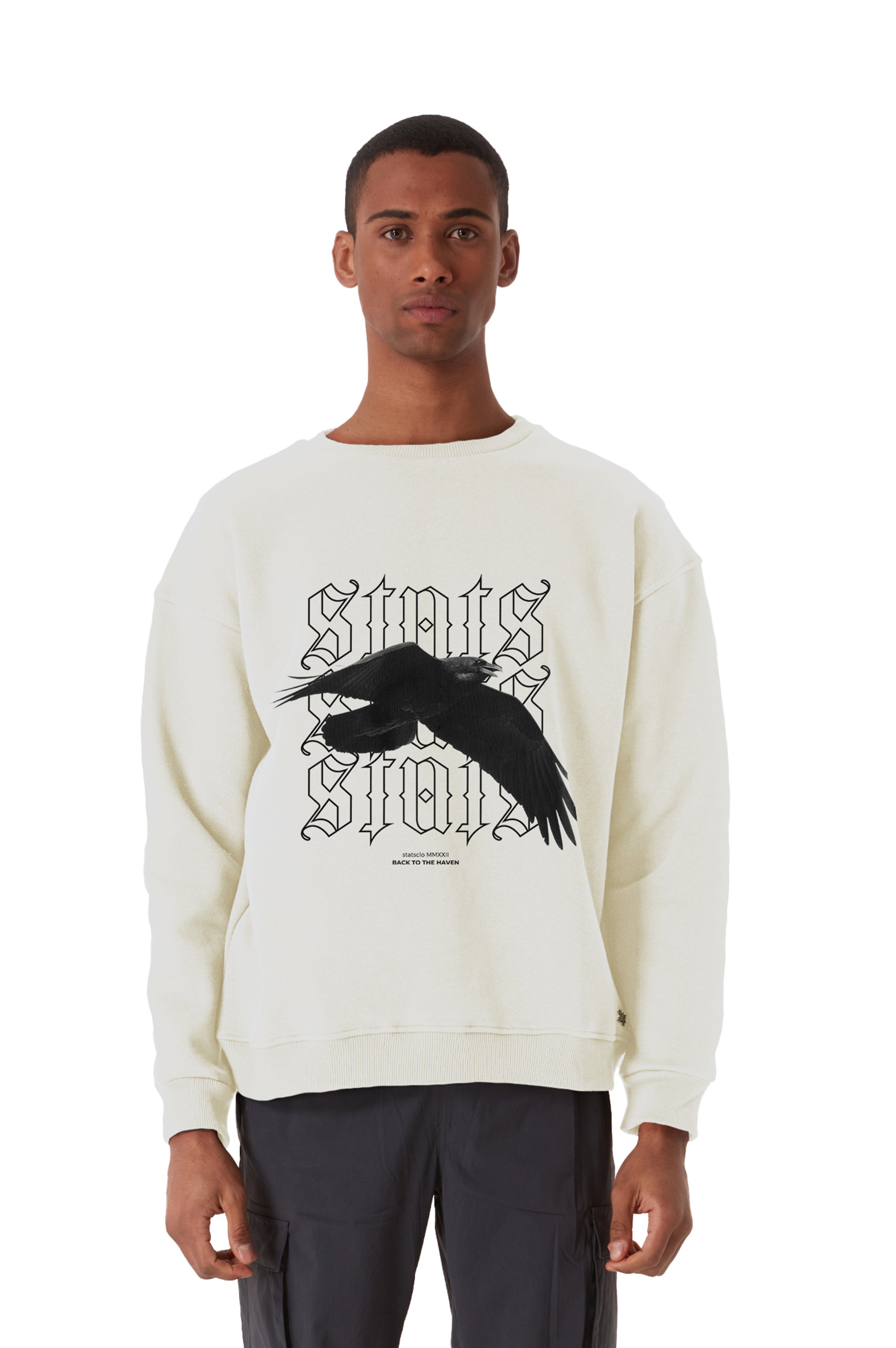PIGEON OVERSIZED HEAVY SWEATSHIRT MEN - Beige