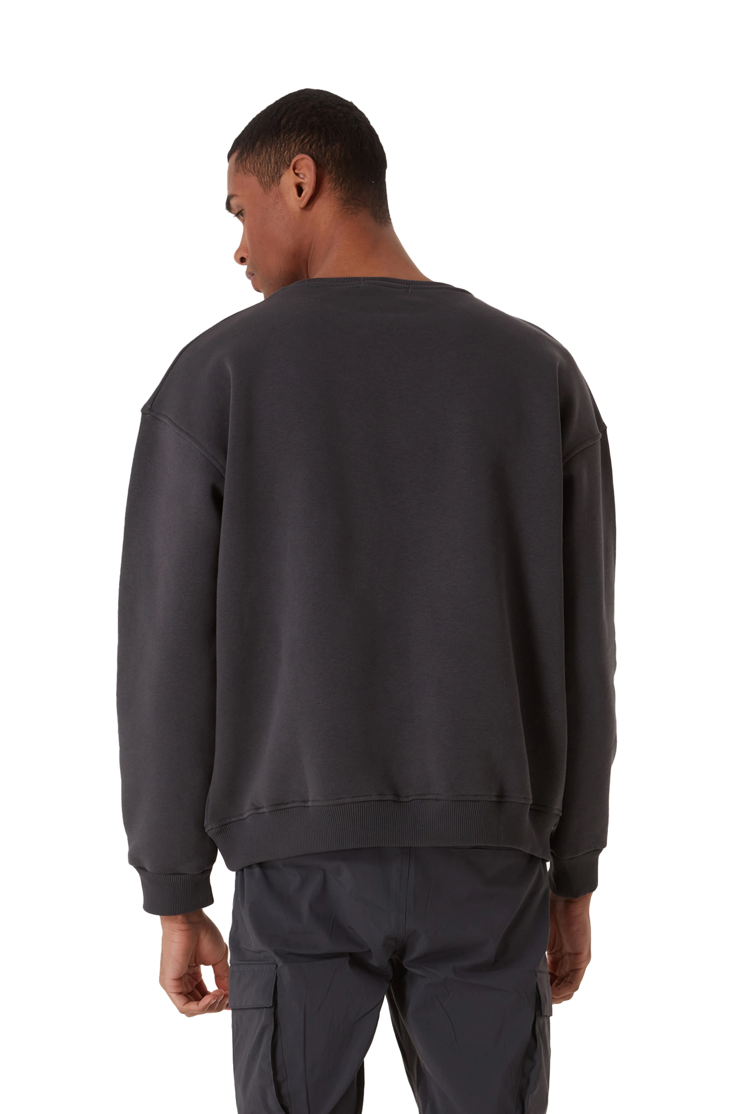 PIGEON OVERSIZED HEAVY SWEATSHIRT MEN
