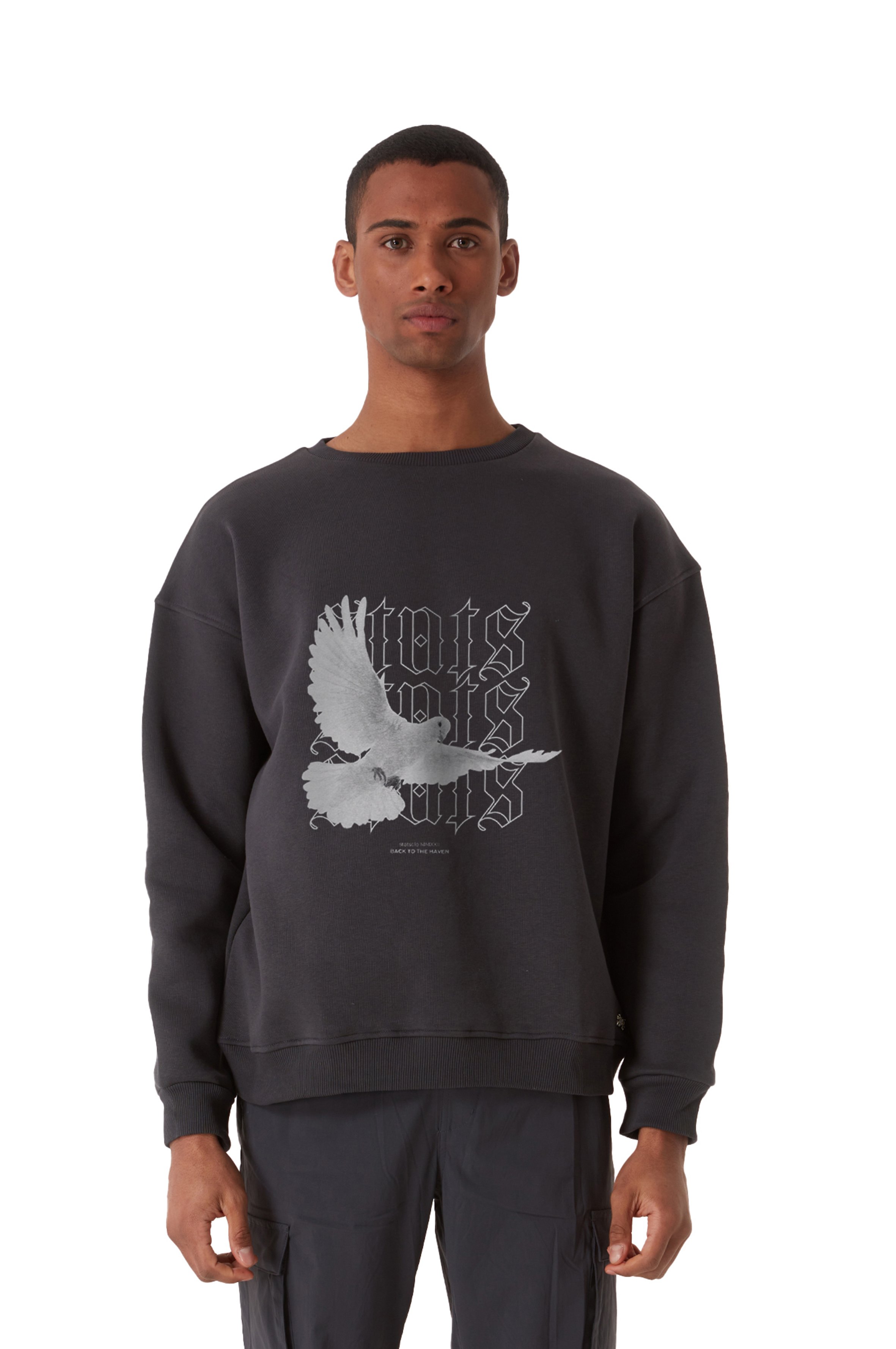PIGEON OVERSIZED HEAVY SWEATSHIRT MEN - Gray